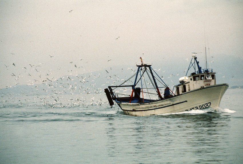 Ley pesca sostenible
