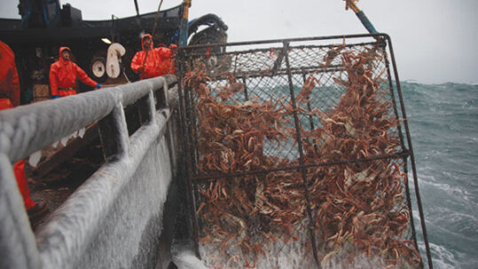 Pesca cangrejo Alaska