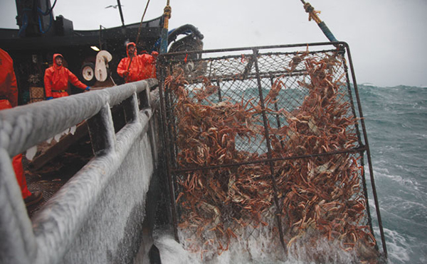 Pesca cangrejo Alaska