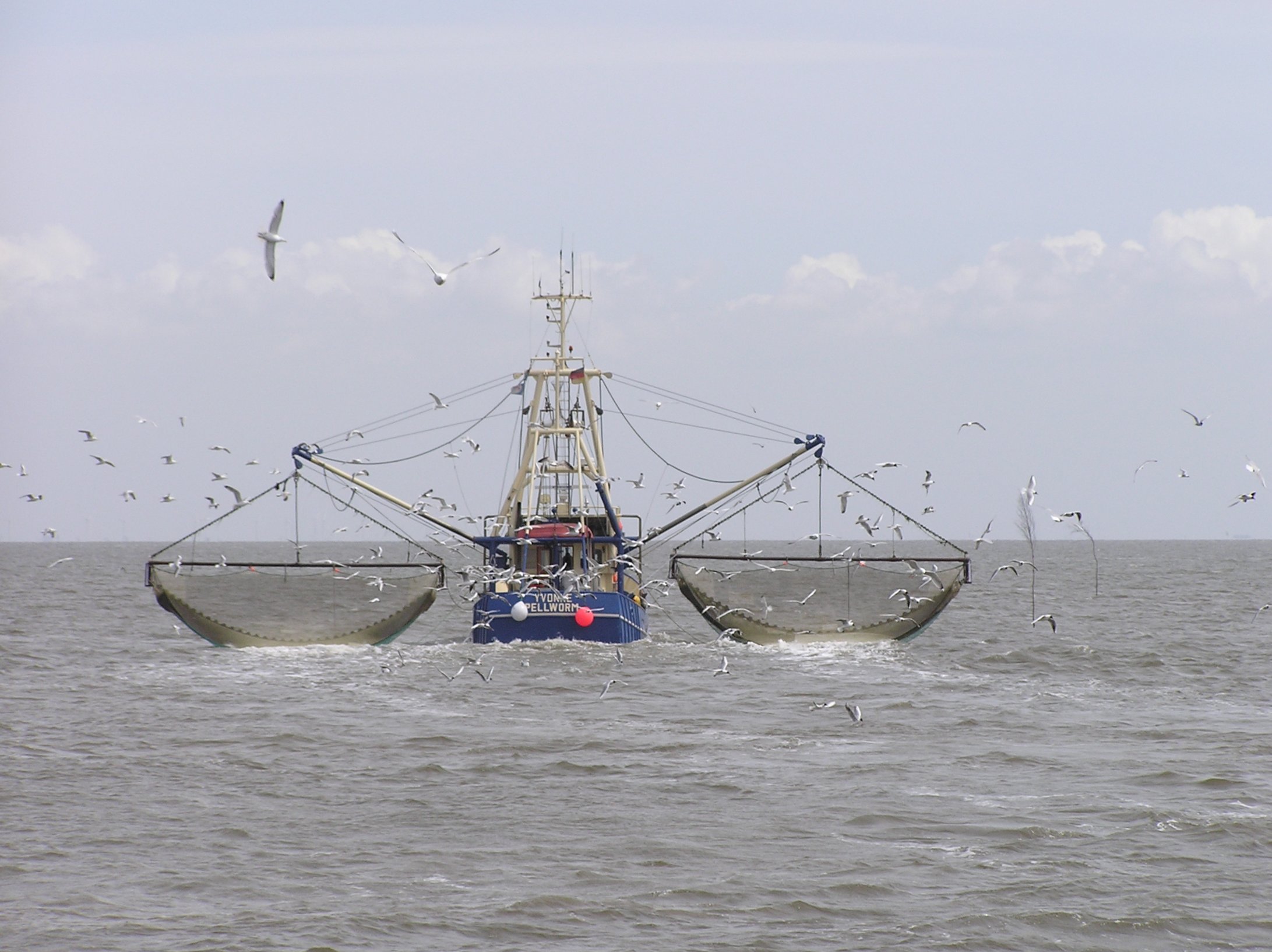 Fishing Atlantic Hake