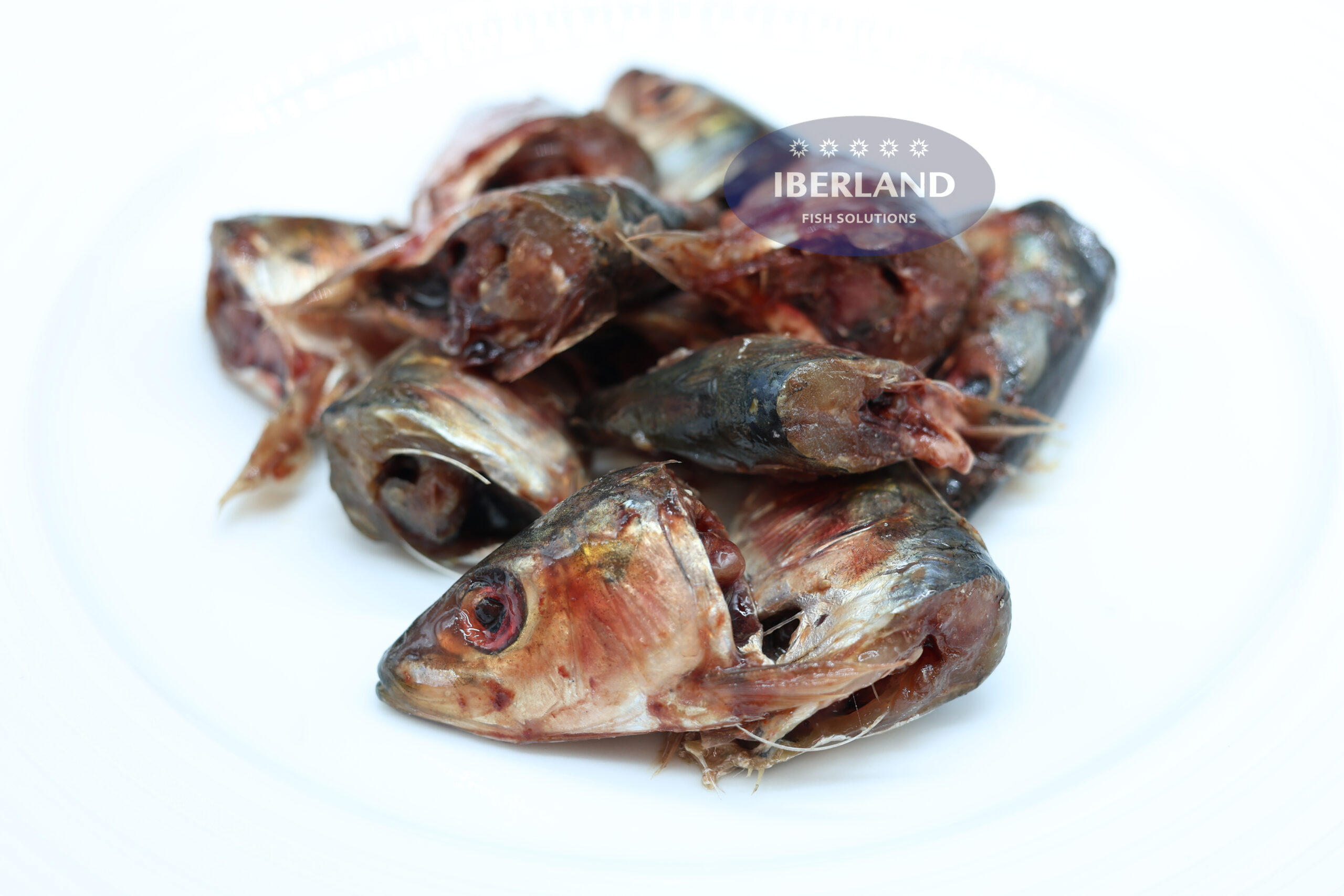 Cabezas y Espinas de Sardina