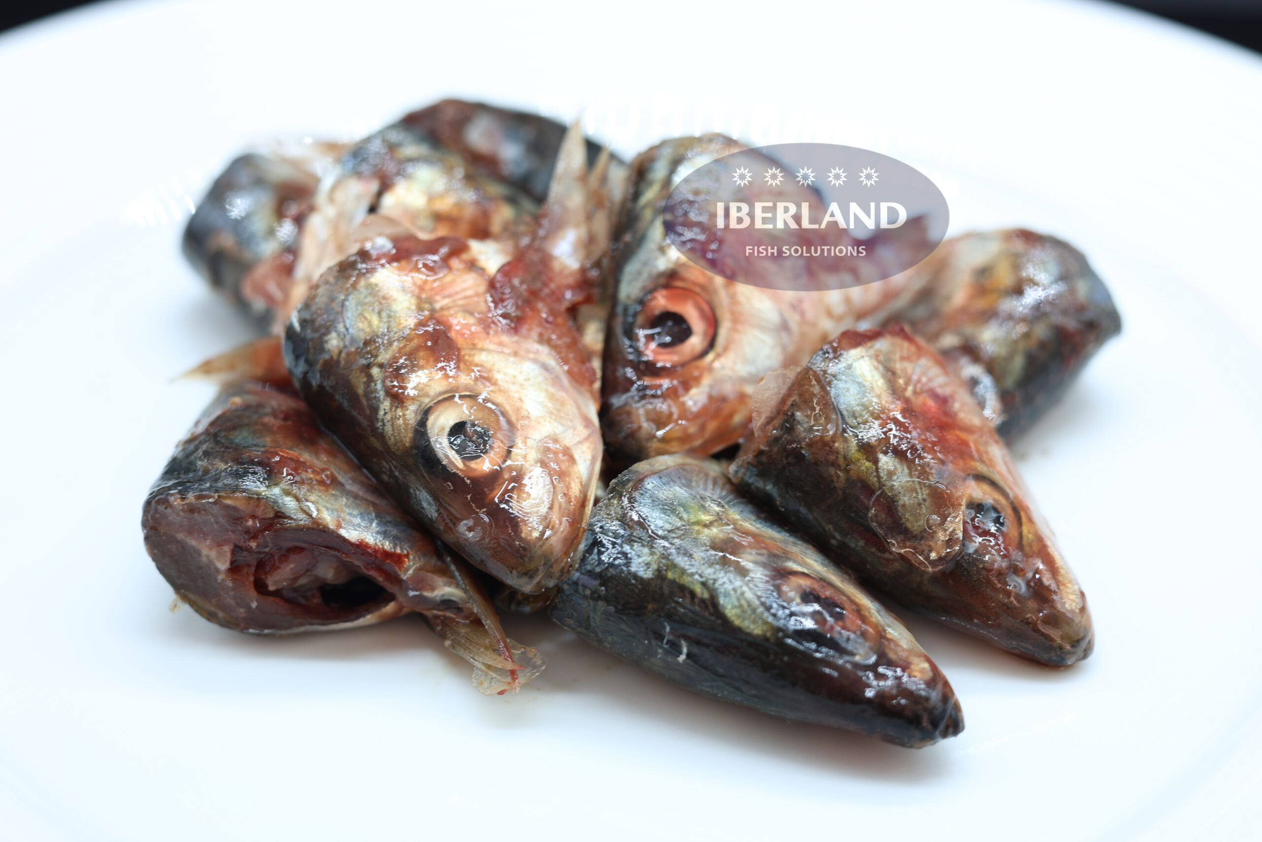 Cabezas y Espinas de Sardina