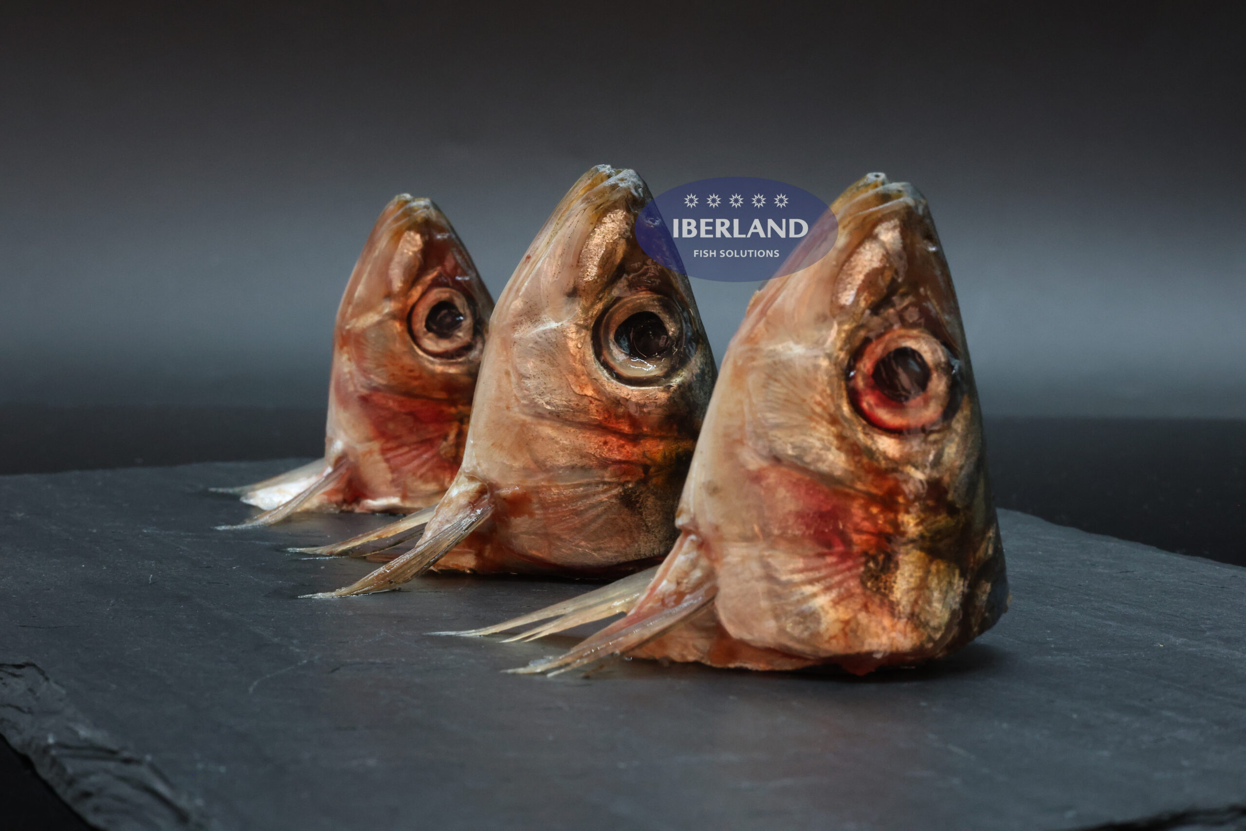 Cabezas y Espinas de Sardina